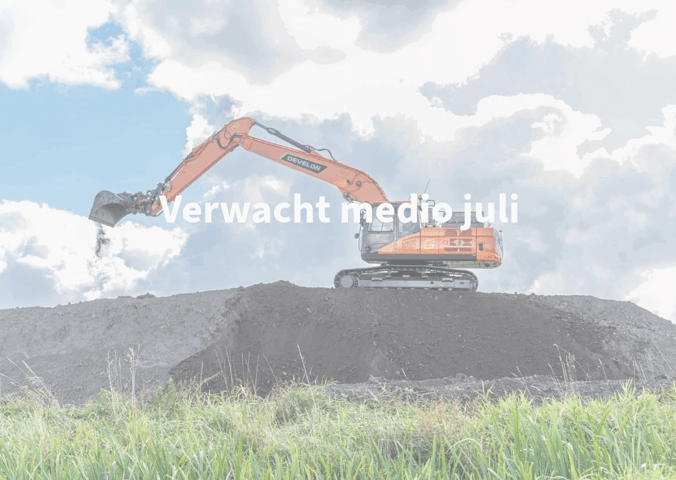 Rupskraan 25 ton elektrisch semi long reach